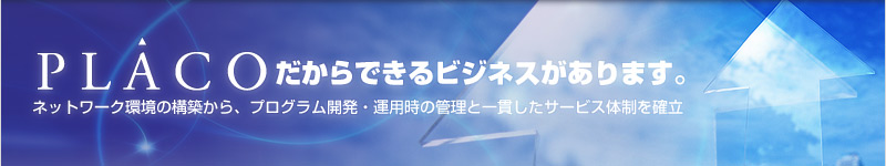 PLACOだからできるビジネスがあります。ネットワーク環境の構築から、プログラム開発・運用時の管理と一貫したサービス体制を確立