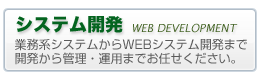 システム開発　業務系システムからWEBシステム開発まで開発から管理・運用までお任せください。